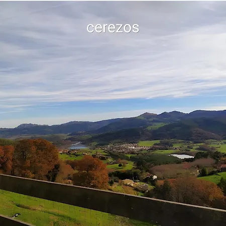 Cerezos Rada (Cantabria)